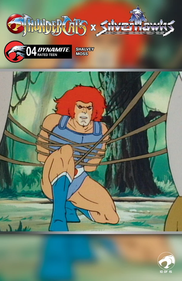 Thundercats X Silverhawks: Animation Art Variant #4 - Cover E